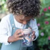 little dutch